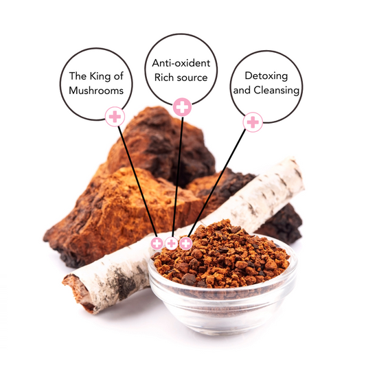 Wild Chaga Extract Product featuring chaga conk, branch of birch tree and ground chaga powder