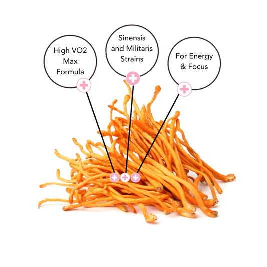 Cordyceps Militaris and Sinensis strains (Cs-4) for increasing V02 Max; an indication of oxygen levels in the blood which increases energy levels and reduces fatigue