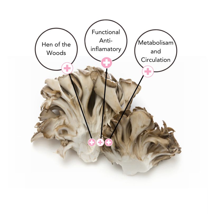 Maitake Extract