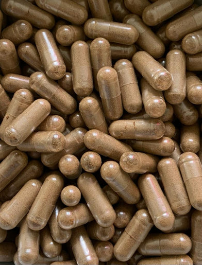 Mushroom Extract Capsules